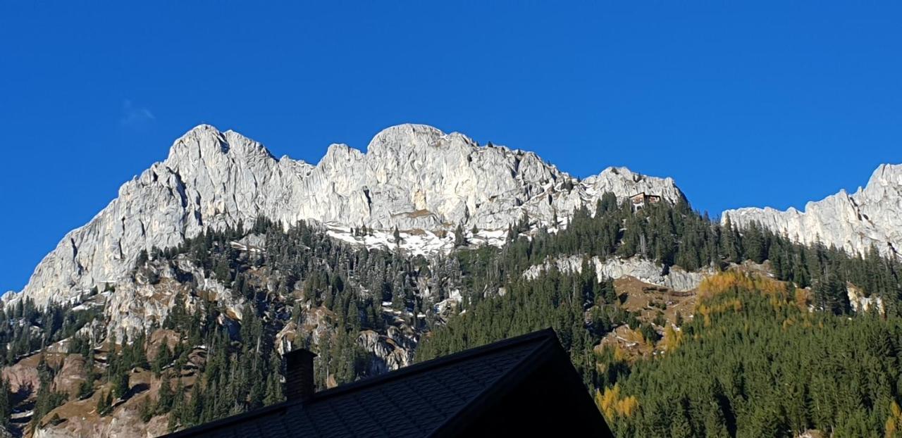 Gertrud Appartement Nesselwängle